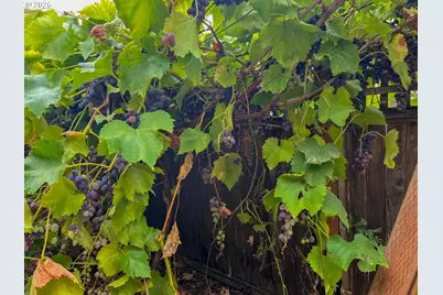 240 W Jefferson St, Carlton, OR 97111 - Photo 22