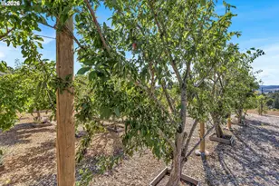 13790 SW Lambert Ln, Gaston, OR 97119 - Photo 40