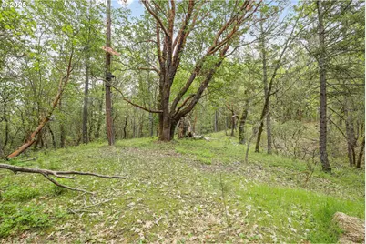 Redwood Hwy, Grants Pass, OR 97527 - Photo 14