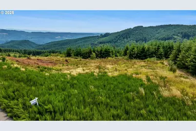 241 High Bank Ln #D, Woodland, WA 98674 - Photo 12