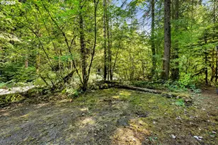 174 Northwoods, Cougar, WA 98616 - Photo 8