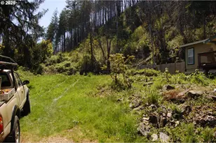 49545 McKenzie Hwy, Vida, OR 97488 - Photo 2