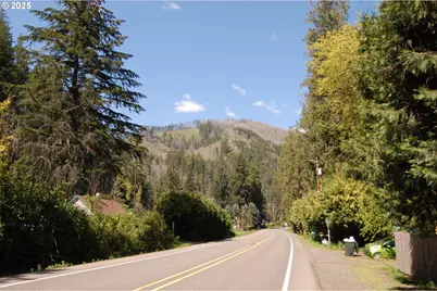 49545 McKenzie Hwy, Vida, OR 97488 - Photo 12