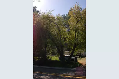 49545 McKenzie Hwy, Vida, OR 97488 - Photo 10