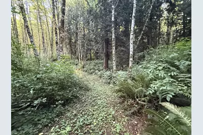 70407 Schumacher Rd, Rainier, OR 97048 - Photo 38