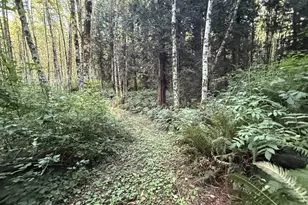 70407 Schumacher Rd, Rainier, OR 97048 - Photo 38