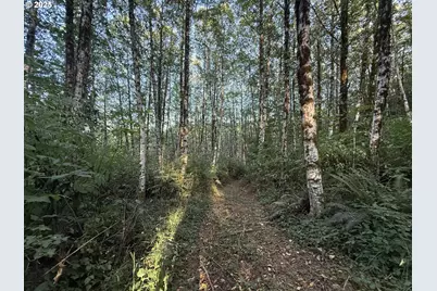 70407 Schumacher Rd, Rainier, OR 97048 - Photo 38