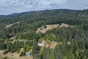 24415 NE 219th St, Battle Ground, WA 98604 - Photo 48