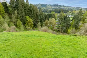 351 Butte Hill Rd, Woodland, WA 98674 - Photo 38