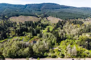21542 Hwy 126, Noti, OR 97461 - Photo 2
