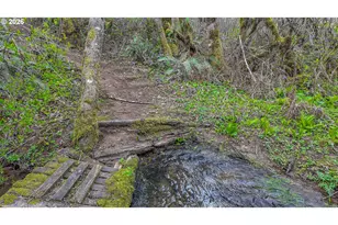 21542 Hwy 126, Noti, OR 97461 - Photo 4