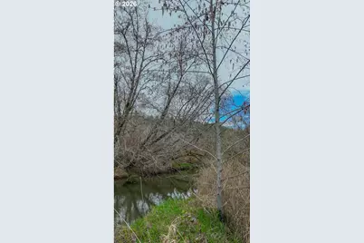 21542 Highway 126, Noti, OR 97461 - Photo 8