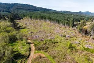21542 Hwy 126, Noti, OR 97461 - Photo 28