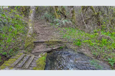 21542 Highway 126 #1, Noti, OR 97461 - Photo 14
