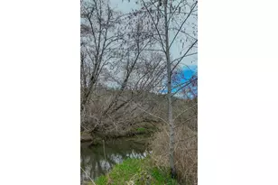 21542 Hwy 126, Noti, OR 97461 - Photo 18