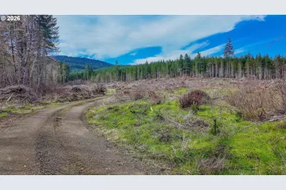 21542 Highway 126 #1, Noti, OR 97461 - Photo 16