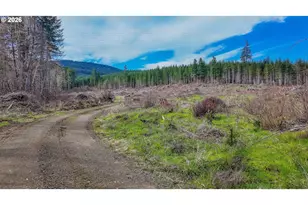 21542 Hwy 126, Noti, OR 97461 - Photo 16