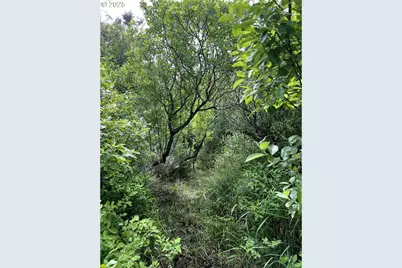 711 N 6th Ave, Rockaway Beach, OR 97136 - Photo 46