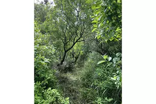 711 N 6th Ave, Rockaway Beach, OR 97136 - Photo 46