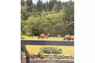 44871 SE Hwy 26, Sandy, OR 97055 - Photo 4