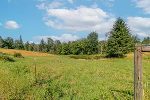 44871 SE Hwy 26, Sandy, OR 97055 - Photo 34