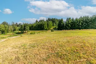 44871 SE Hwy 26, Sandy, OR 97055 - Photo 32