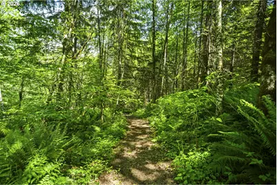 400 N Dubois Rd, Ariel, WA 98603 - Photo 34