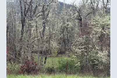 82750 Bear Creek Rd, Creswell, OR 97426 - Photo 4