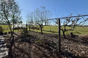 39340 Shelburn Dr, Scio, OR 97374 - Photo 28