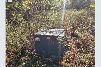 92 Cannavina Rd #17, Carson, WA 98610 - Photo 8