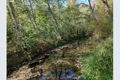 92 Cannavina Rd #17, Carson, WA 98610 - Photo 10