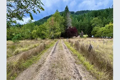 5184 Upper Cow Creek Rd, Azalea, OR 97410 - Photo 14
