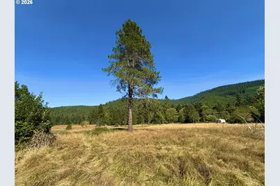 5184 Upper Cow Creek Rd, Azalea, OR 97410 - Photo 2