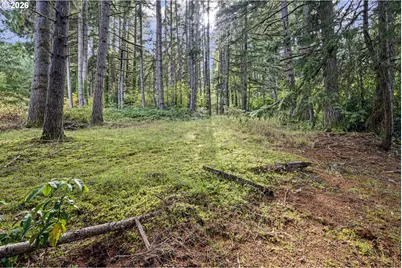 35982 Shoreview Dr, Dorena, OR 97434 - Photo 46