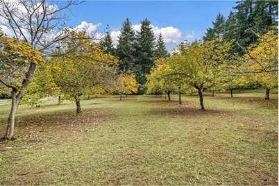 35982 Shoreview Dr, Dorena, OR 97434 - Photo 38