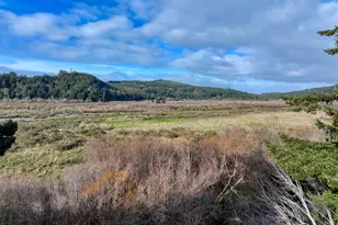 95707 Jerry's Flat Rd, Gold Beach, OR 97444 - Photo 14