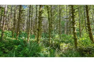 1523 N Tenmile, Lakeside, OR 97449 - Photo 20