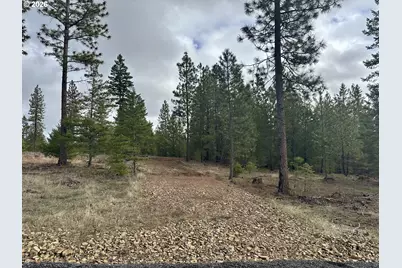 Ranger Rd #1, Goldendale, WA 98620 - Photo 4