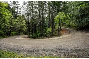 0 Rice Creek Rd, Winston, OR 97496 - Photo 46