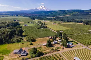 6455 Trout Creek Ridge Rd, Mount Hood Prkdl, OR 97041 - Photo 6