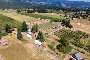 6455 Trout Creek Ridge Rd, Mount Hood Prkdl, OR 97041 - Photo 40