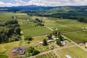 6455 Trout Creek Ridge Rd, Mount Hood Prkdl, OR 97041 - Photo 22