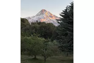 8320 Cooper Spur Rd, Mount Hood Prkdl, OR 97041 - Photo 42