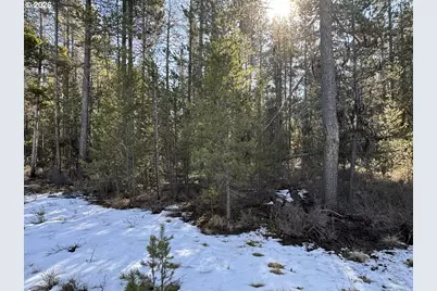 Keyser Circle #29, Chiloquin, OR 97624 - Photo 30