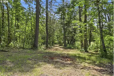 Rogers - Lot 3 Ln, Dexter, OR 97431 - Photo 14