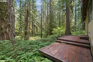 28320 E Road 20, Rhododendron, OR 97049 - Photo 32