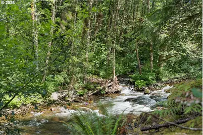 28320 E Road 20, Rhododendron, OR 97049 - Photo 38