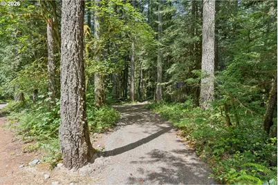 28320 E Road 20, Rhododendron, OR 97049 - Photo 8