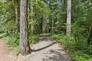 28320 E Road 20, Rhododendron, OR 97049 - Photo 8