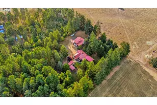 89989 Goldie Ln, Elmira, OR 97437 - Photo 6